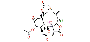 Solenolide D